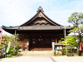 海徳寺 (10).JPG